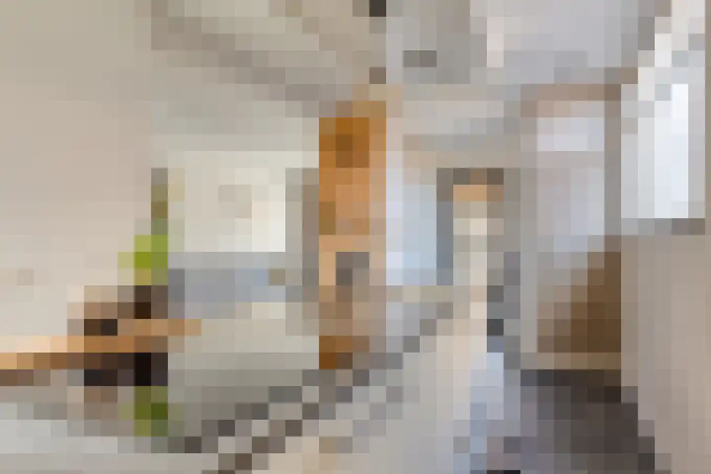 van Megenstraat 12 Leunen thumbnail 14