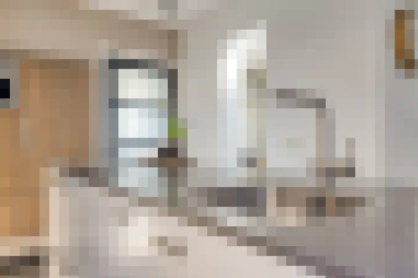 van Megenstraat 12 Leunen thumbnail 17