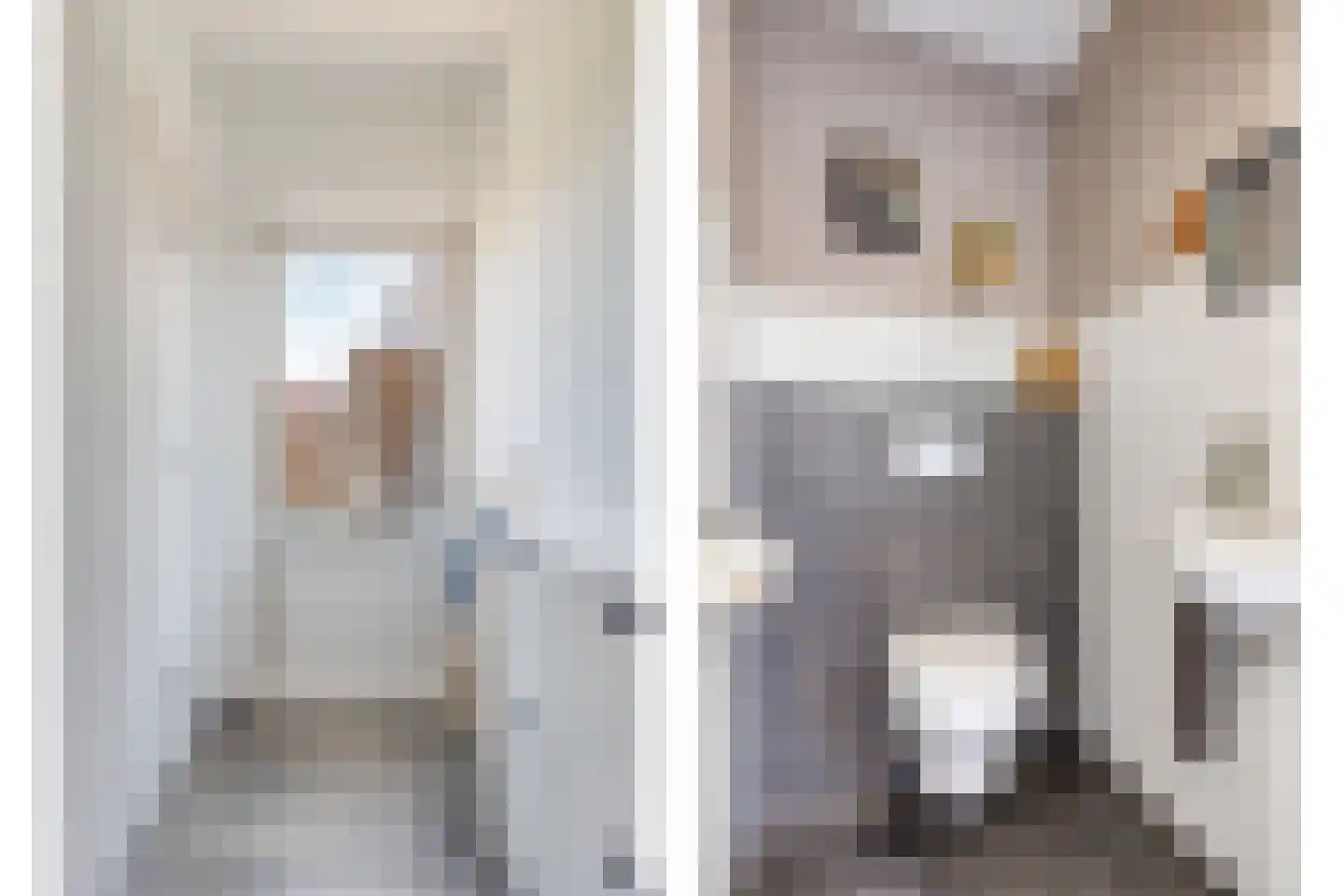 van Megenstraat 12 Leunen thumbnail 19