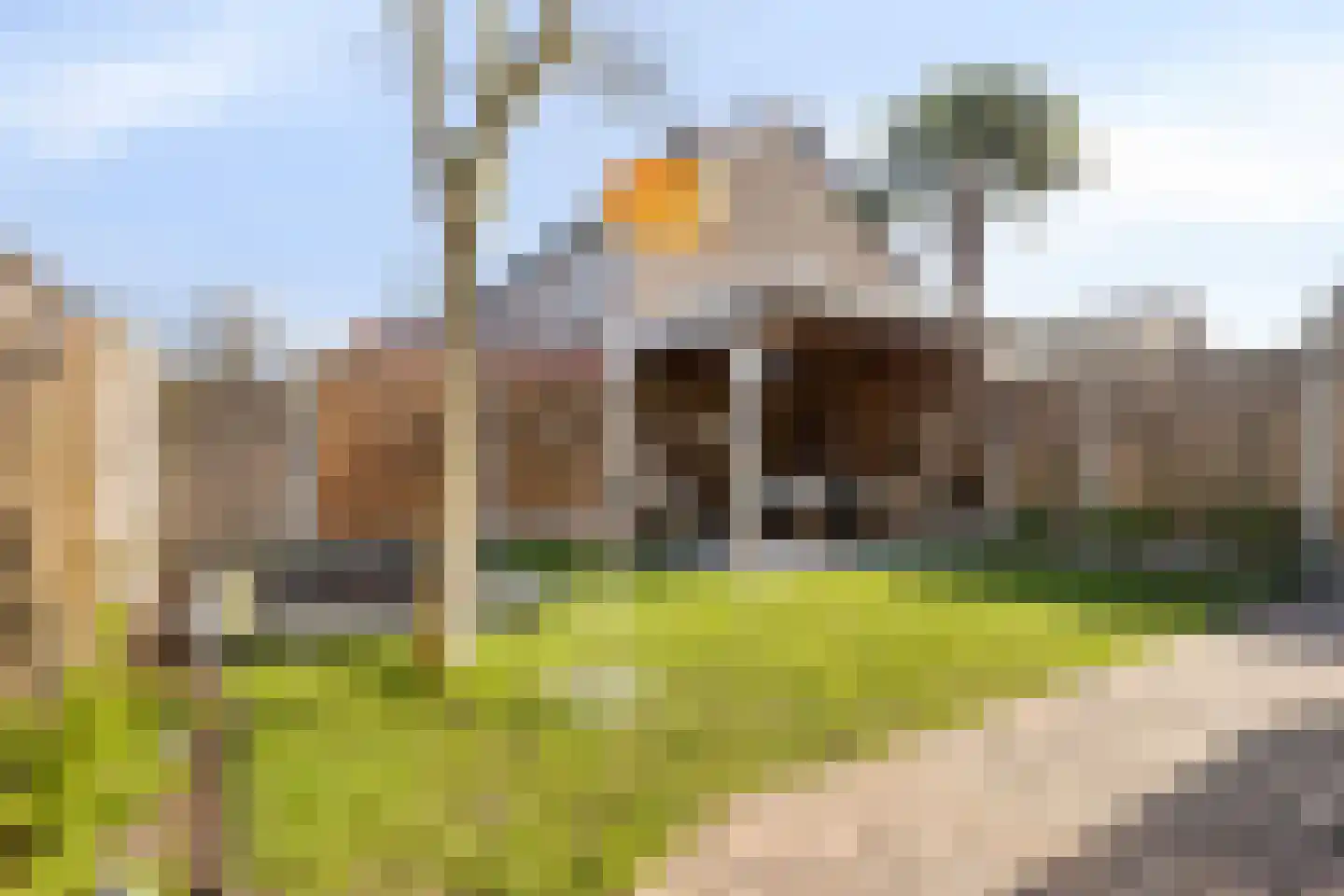 van Megenstraat 12 Leunen thumbnail 33