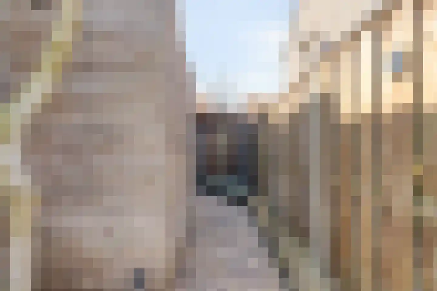 van Megenstraat 12 Leunen thumbnail 37