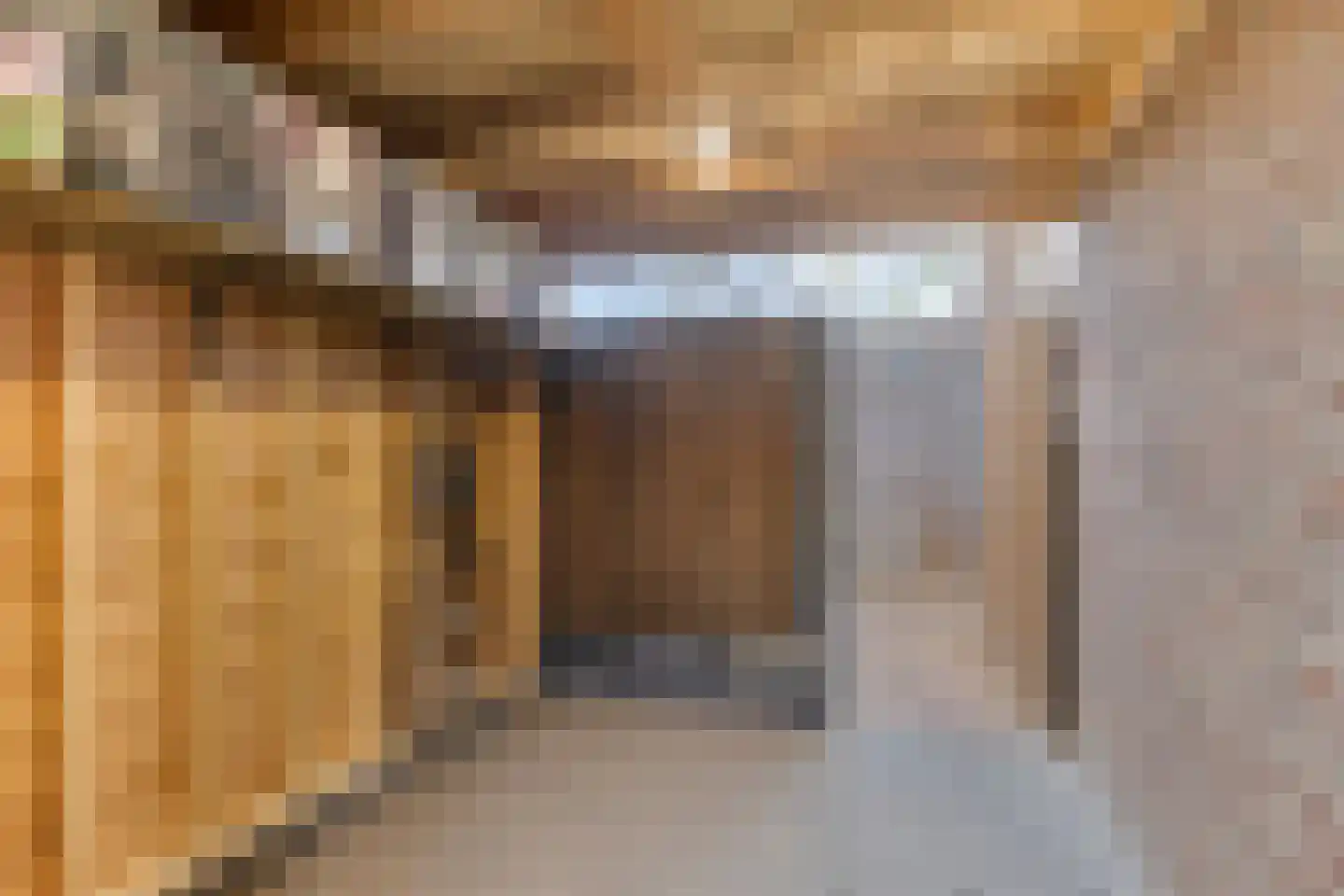 van Megenstraat 12 Leunen thumbnail 39