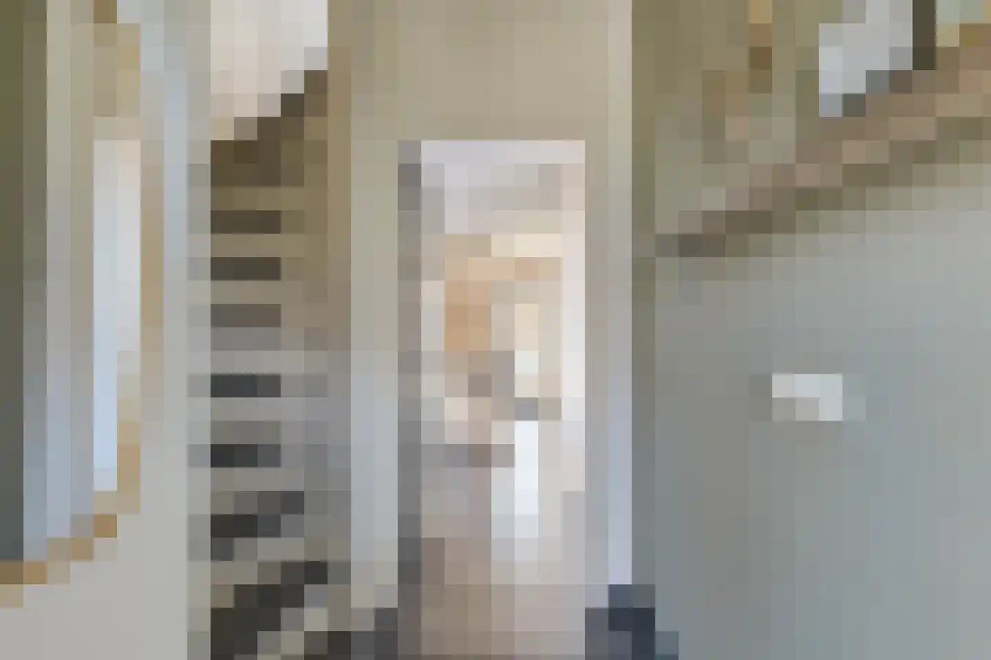 van Megenstraat 12 Leunen thumbnail 6