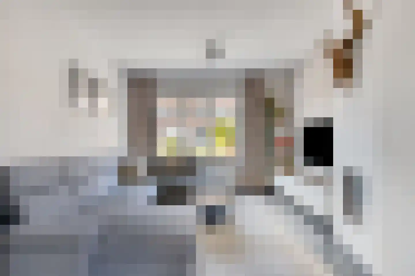 van Megenstraat 12 Leunen thumbnail 7