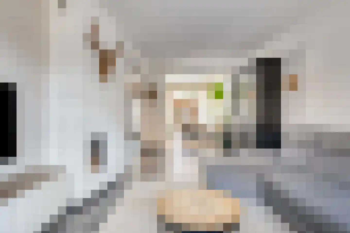 van Megenstraat 12 Leunen thumbnail 8