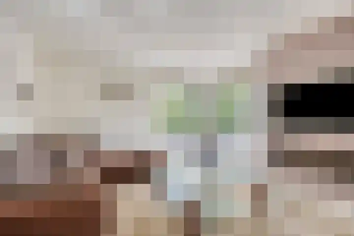 Van Mekerenstraat 1 B Puiflijk thumbnail 11