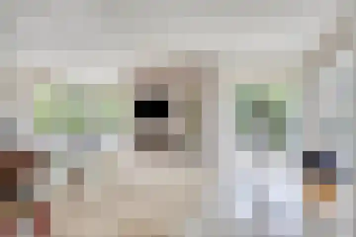 Van Mekerenstraat 1 B Puiflijk thumbnail 13