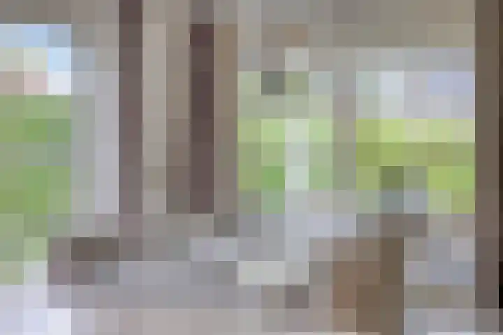 Van Mekerenstraat 1 B Puiflijk thumbnail 17