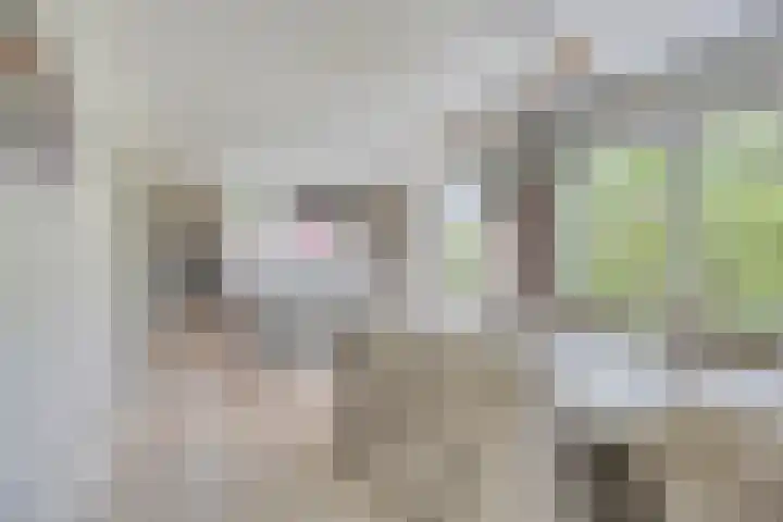 Van Mekerenstraat 1 B Puiflijk thumbnail 19