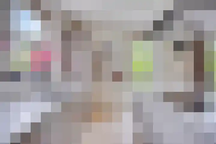 Van Mekerenstraat 1 B Puiflijk thumbnail 20