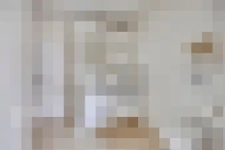 Van Mekerenstraat 1 B Puiflijk thumbnail 27