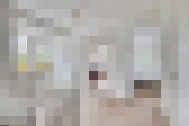 Van Mekerenstraat 1 B Puiflijk thumbnail 34