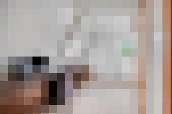 Van Mekerenstraat 1 B Puiflijk thumbnail 41
