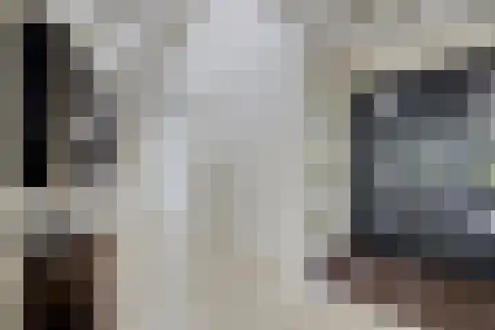 Van Mekerenstraat 1 B Puiflijk thumbnail 5