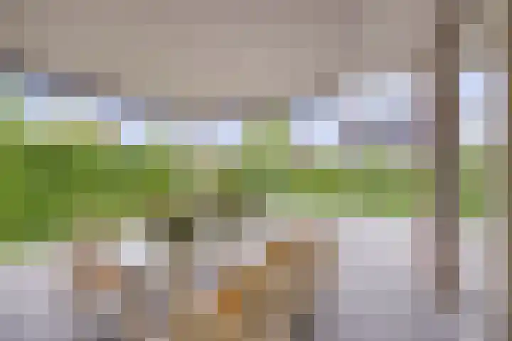 Van Mekerenstraat 1 B Puiflijk thumbnail 50