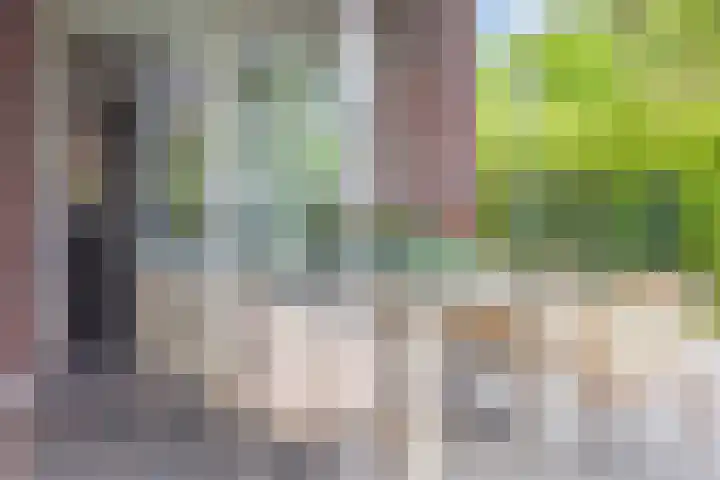 Van Mekerenstraat 1 B Puiflijk thumbnail 53