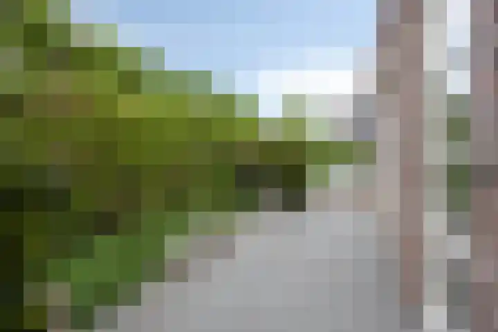 Van Mekerenstraat 1 B Puiflijk thumbnail 57