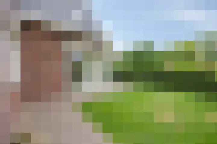 Van Mekerenstraat 1 B Puiflijk thumbnail 58