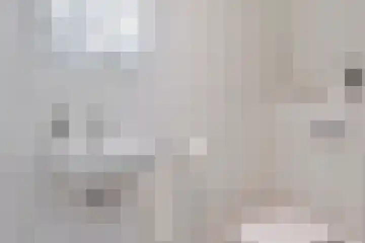 Van Mekerenstraat 1 B Puiflijk thumbnail 6