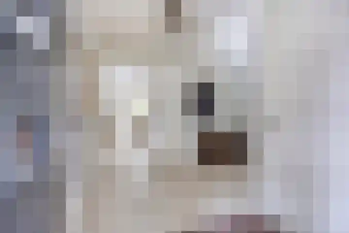 Van Mekerenstraat 1 B Puiflijk thumbnail 7