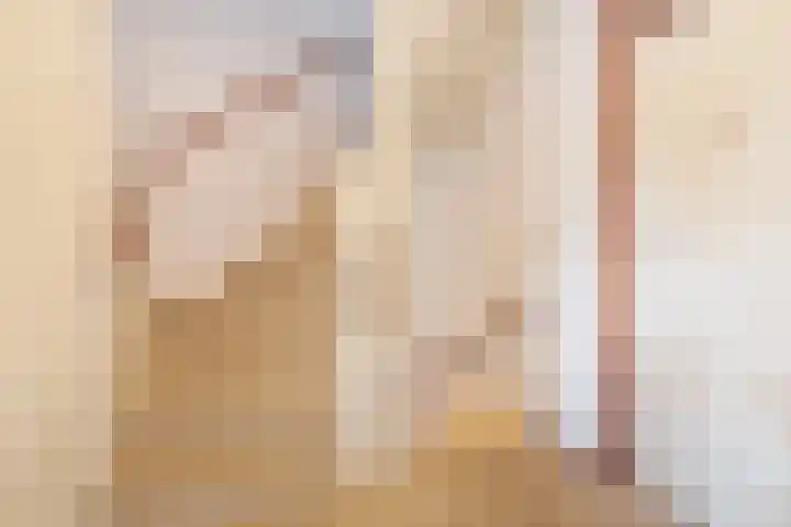 van Mellincrodestraat 18 Oirschot thumbnail 13