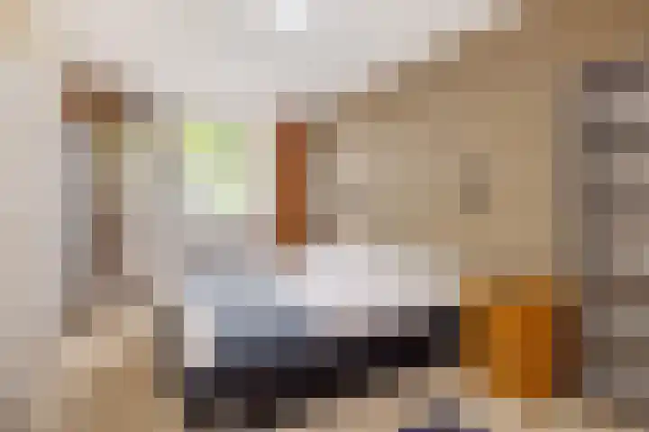 van Mellincrodestraat 18 Oirschot thumbnail 14