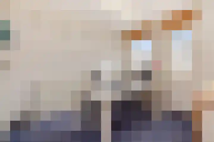 van Mellincrodestraat 18 Oirschot thumbnail 15