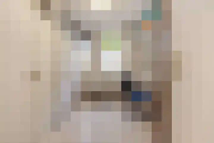 van Mellincrodestraat 18 Oirschot thumbnail 16