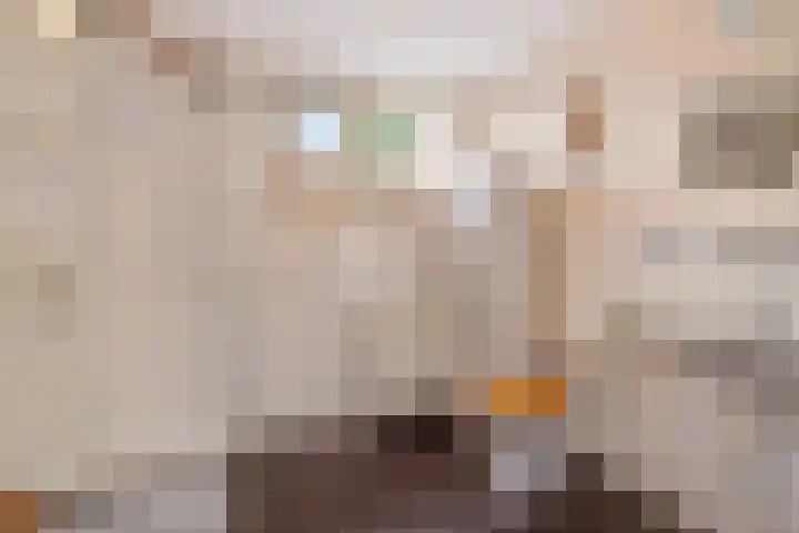 van Mellincrodestraat 18 Oirschot thumbnail 17