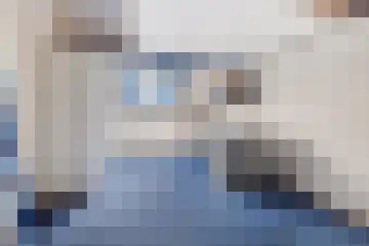 van Mellincrodestraat 18 Oirschot thumbnail 20
