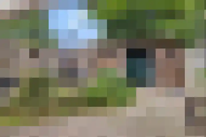 van Mellincrodestraat 18 Oirschot thumbnail 22