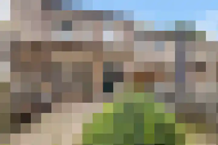 van Mellincrodestraat 18 Oirschot thumbnail 23