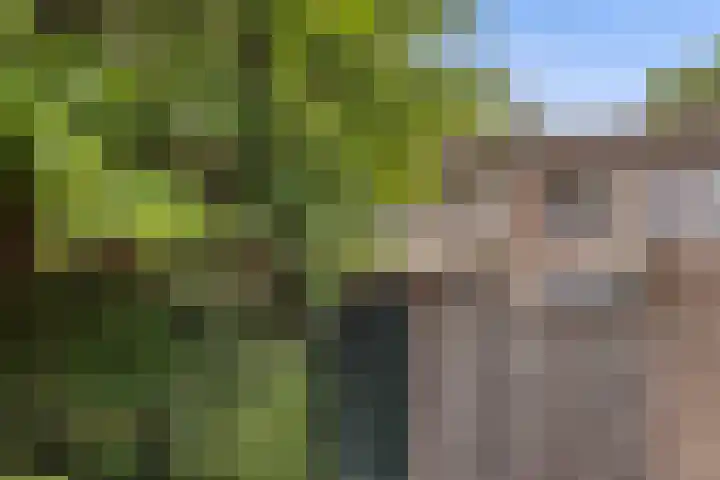 van Mellincrodestraat 18 Oirschot thumbnail 24