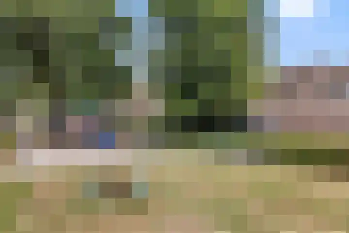 van Mellincrodestraat 18 Oirschot thumbnail 26