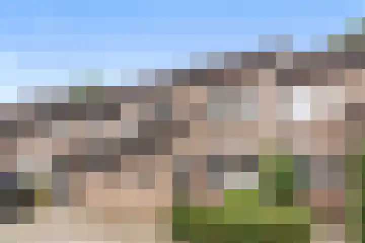 van Mellincrodestraat 18 Oirschot thumbnail 32