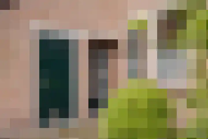van Mellincrodestraat 18 Oirschot thumbnail 6