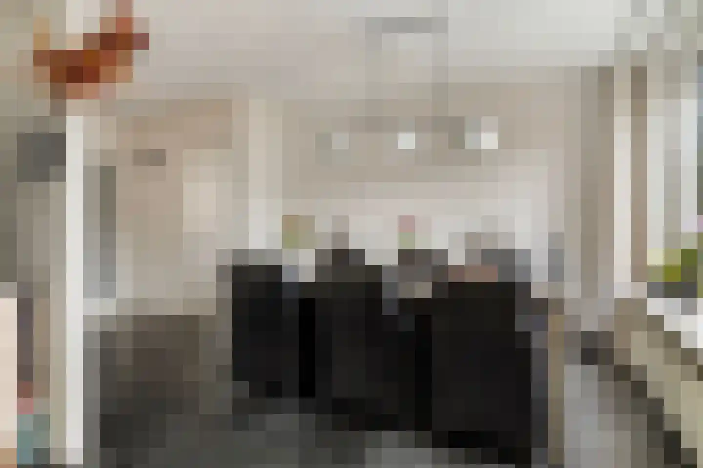 van Mellincrodestraat 30 Oirschot thumbnail 14