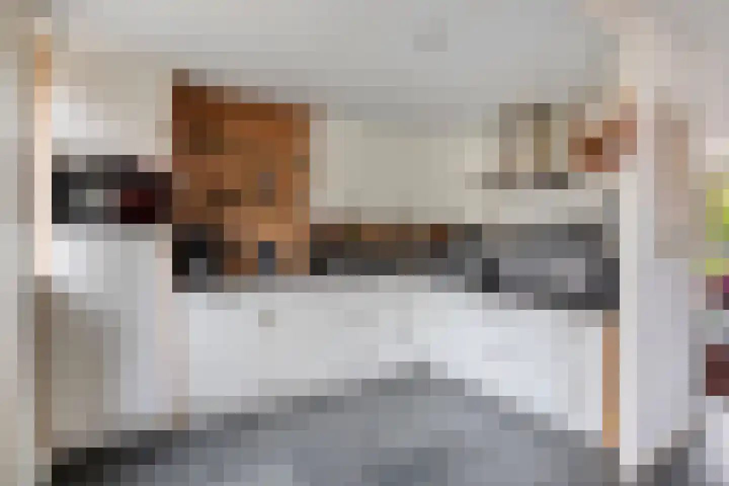 van Mellincrodestraat 30 Oirschot thumbnail 15