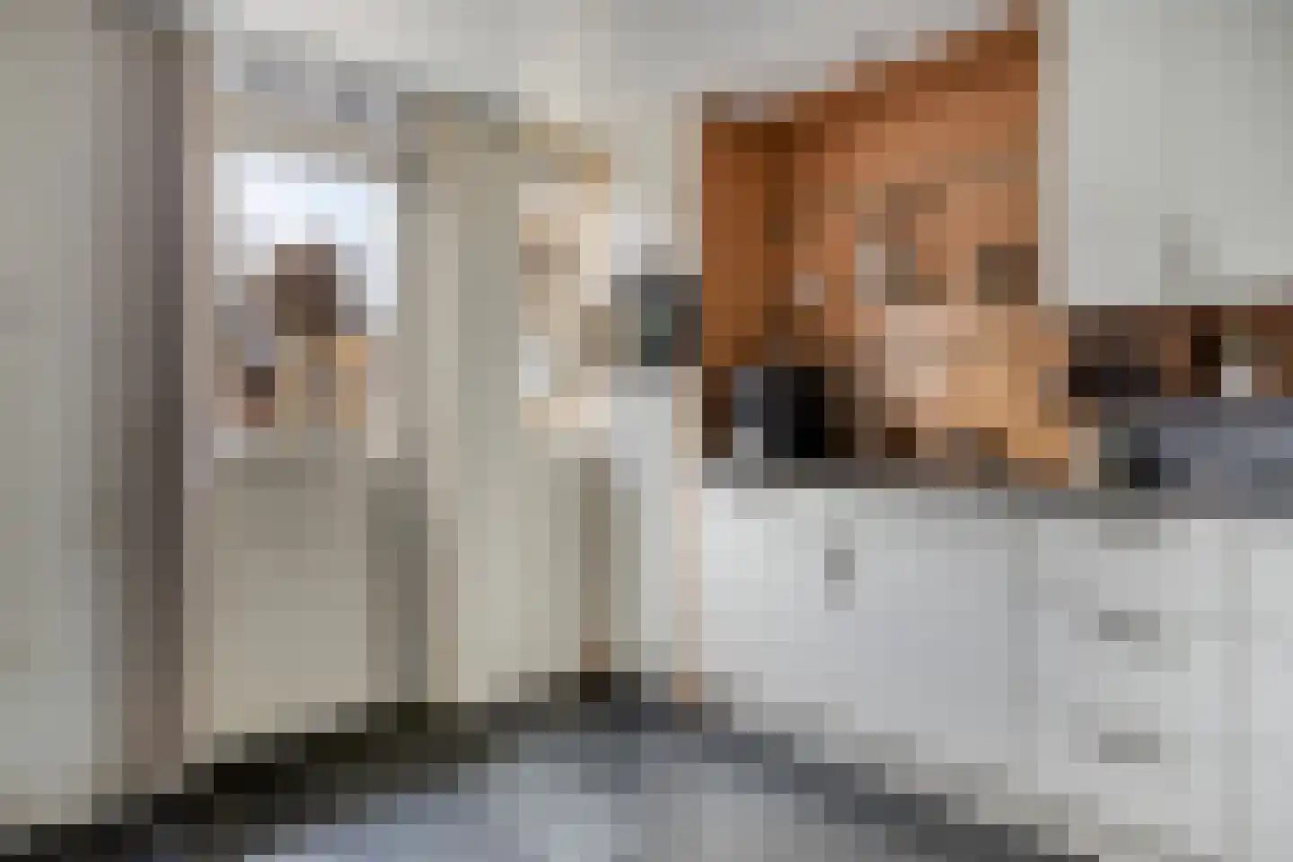 van Mellincrodestraat 30 Oirschot thumbnail 17