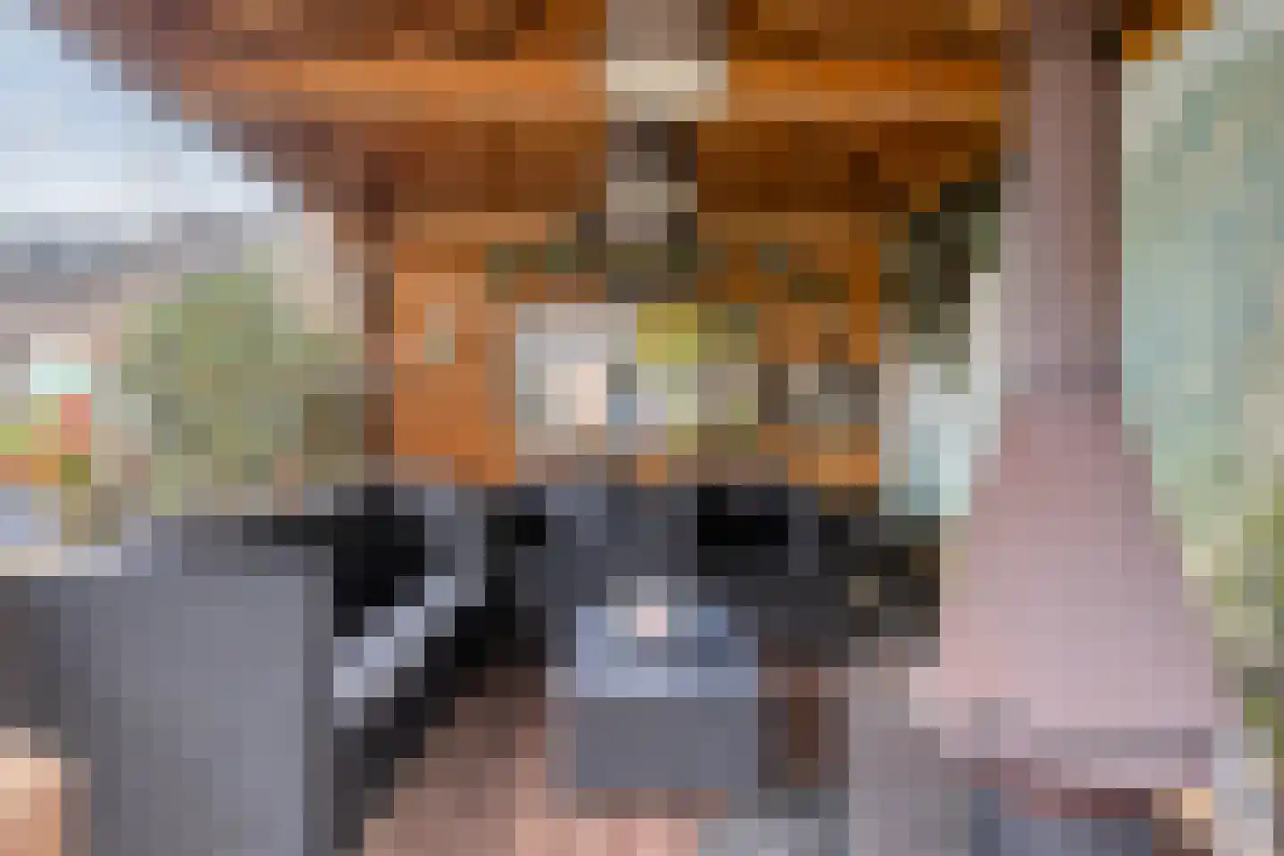 van Mellincrodestraat 30 Oirschot thumbnail 32