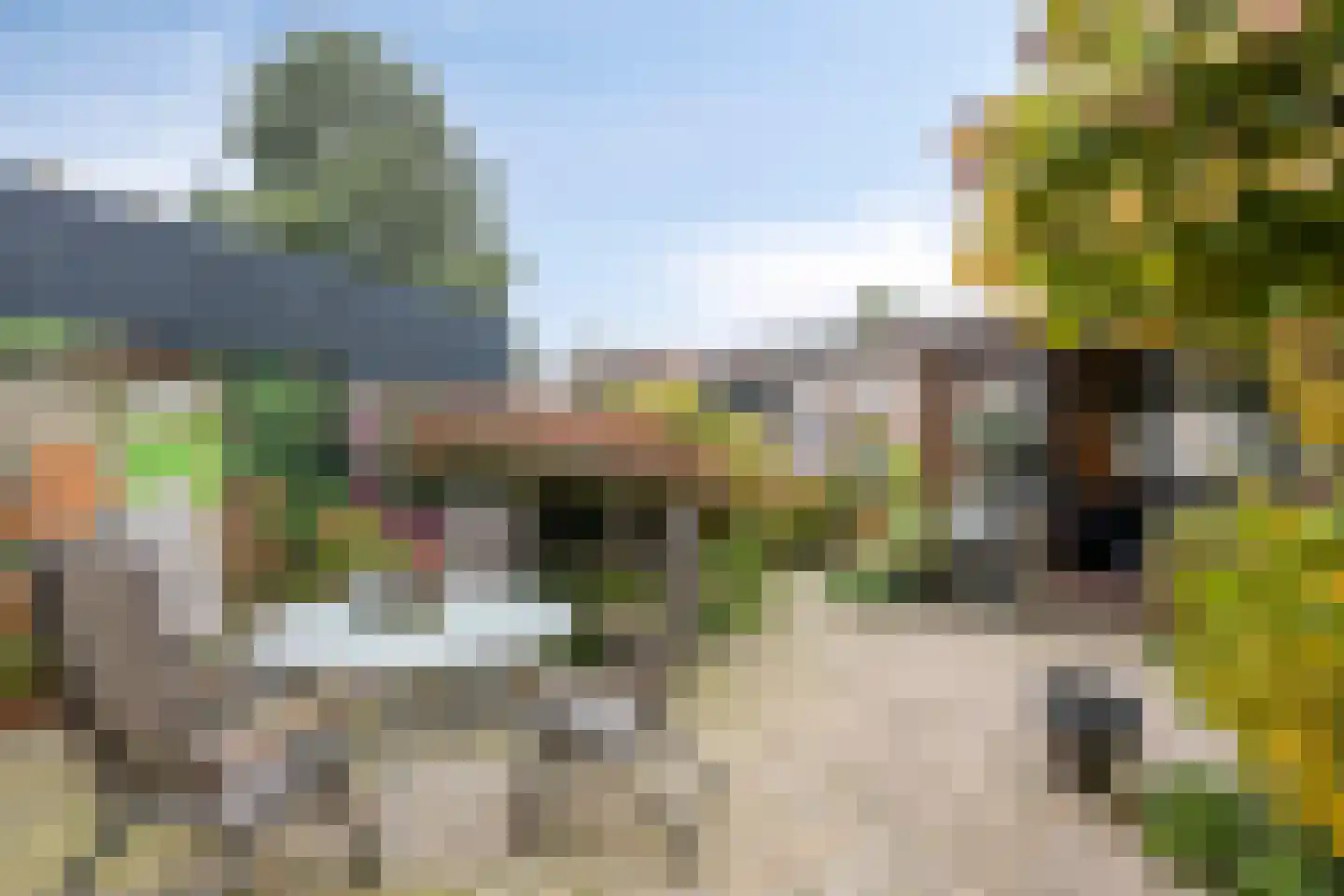 van Mellincrodestraat 30 Oirschot thumbnail 5