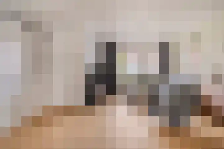 van Mellincrodestraat 32 Oirschot thumbnail 11