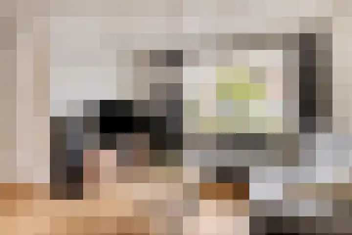 van Mellincrodestraat 32 Oirschot thumbnail 12