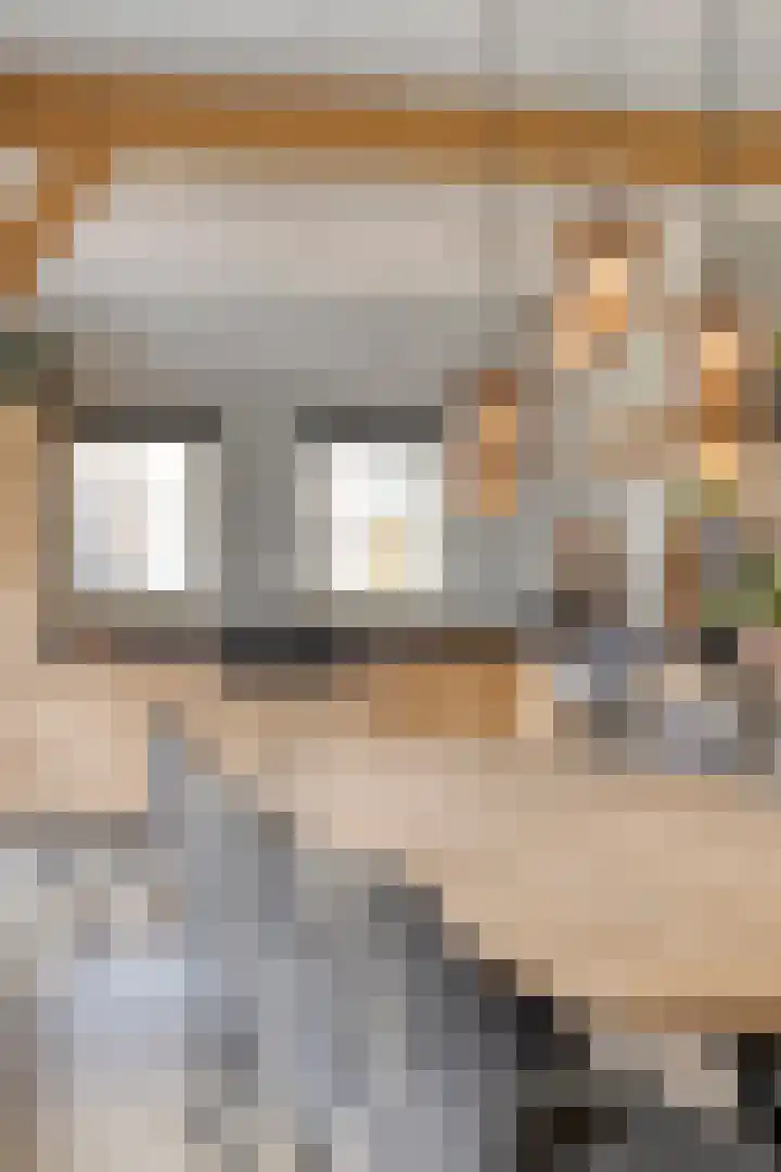 van Mellincrodestraat 32 Oirschot thumbnail 15