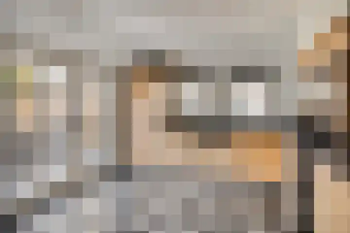 van Mellincrodestraat 32 Oirschot thumbnail 19