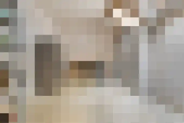 van Mellincrodestraat 32 Oirschot thumbnail 23