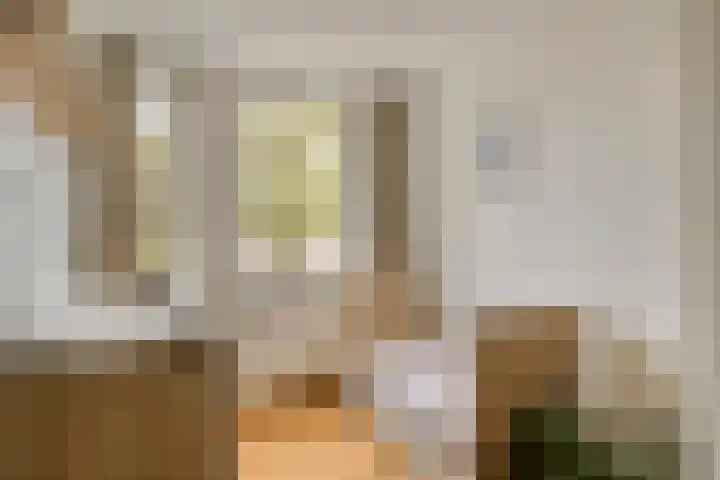 van Mellincrodestraat 32 Oirschot thumbnail 25