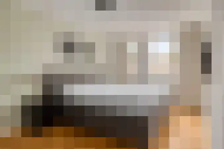 van Mellincrodestraat 32 Oirschot thumbnail 26