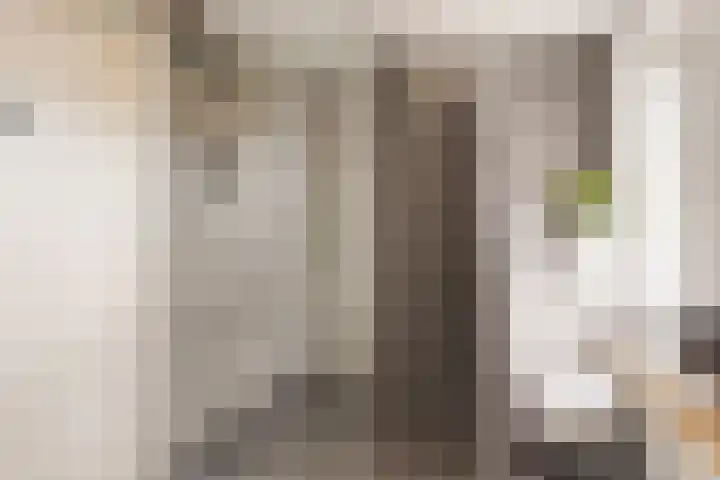 van Mellincrodestraat 32 Oirschot thumbnail 31