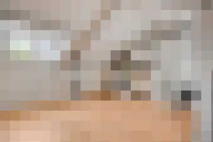 van Mellincrodestraat 32 Oirschot thumbnail 34
